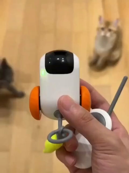 Remote Control Smart Cat Toy