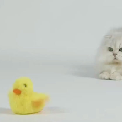Flapping Duck Cat Toy
